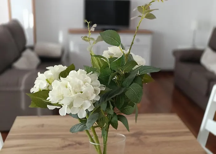 Villa Crisol Plaza *